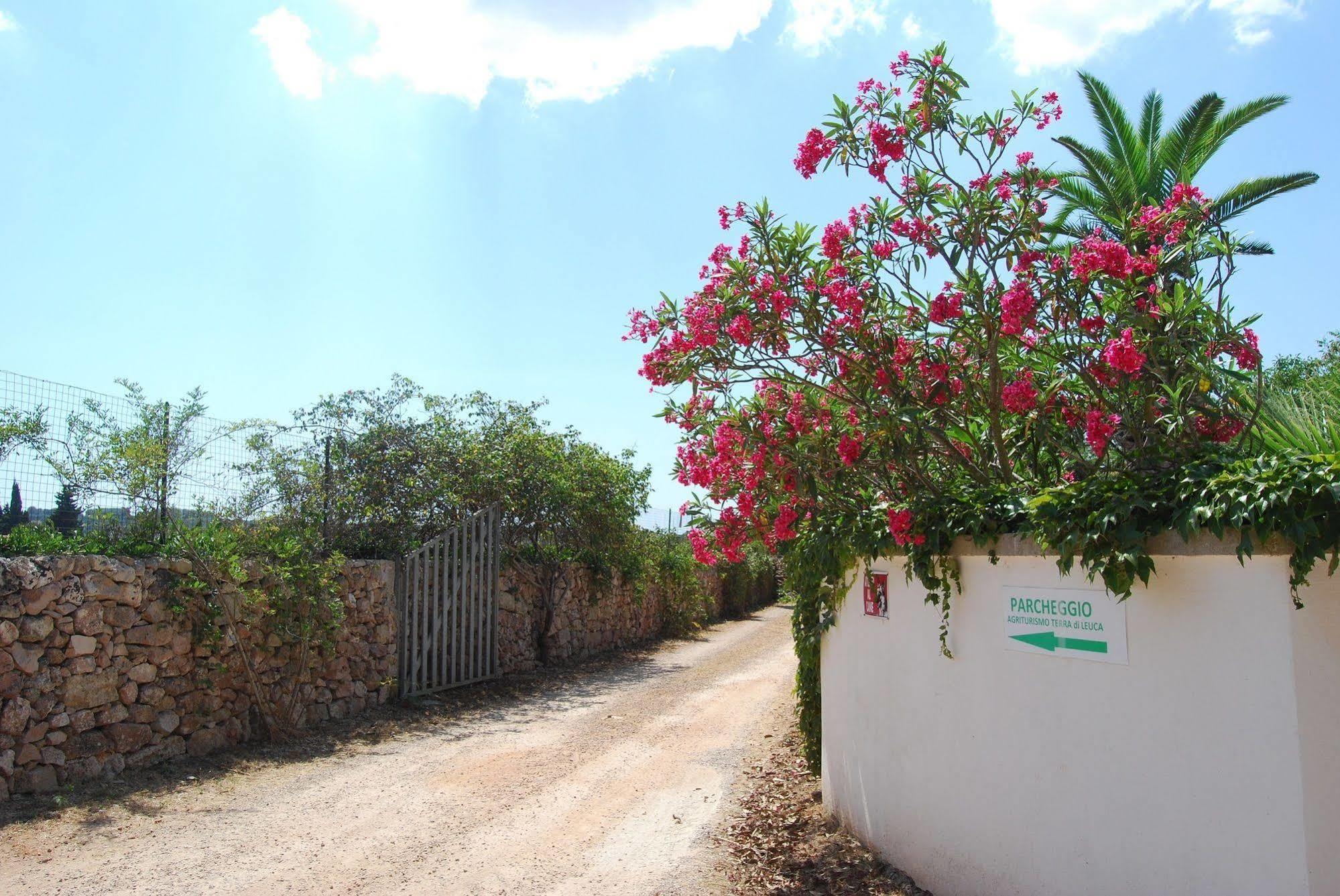 Vila Terra Di Leuca Salve Exteriér fotografie