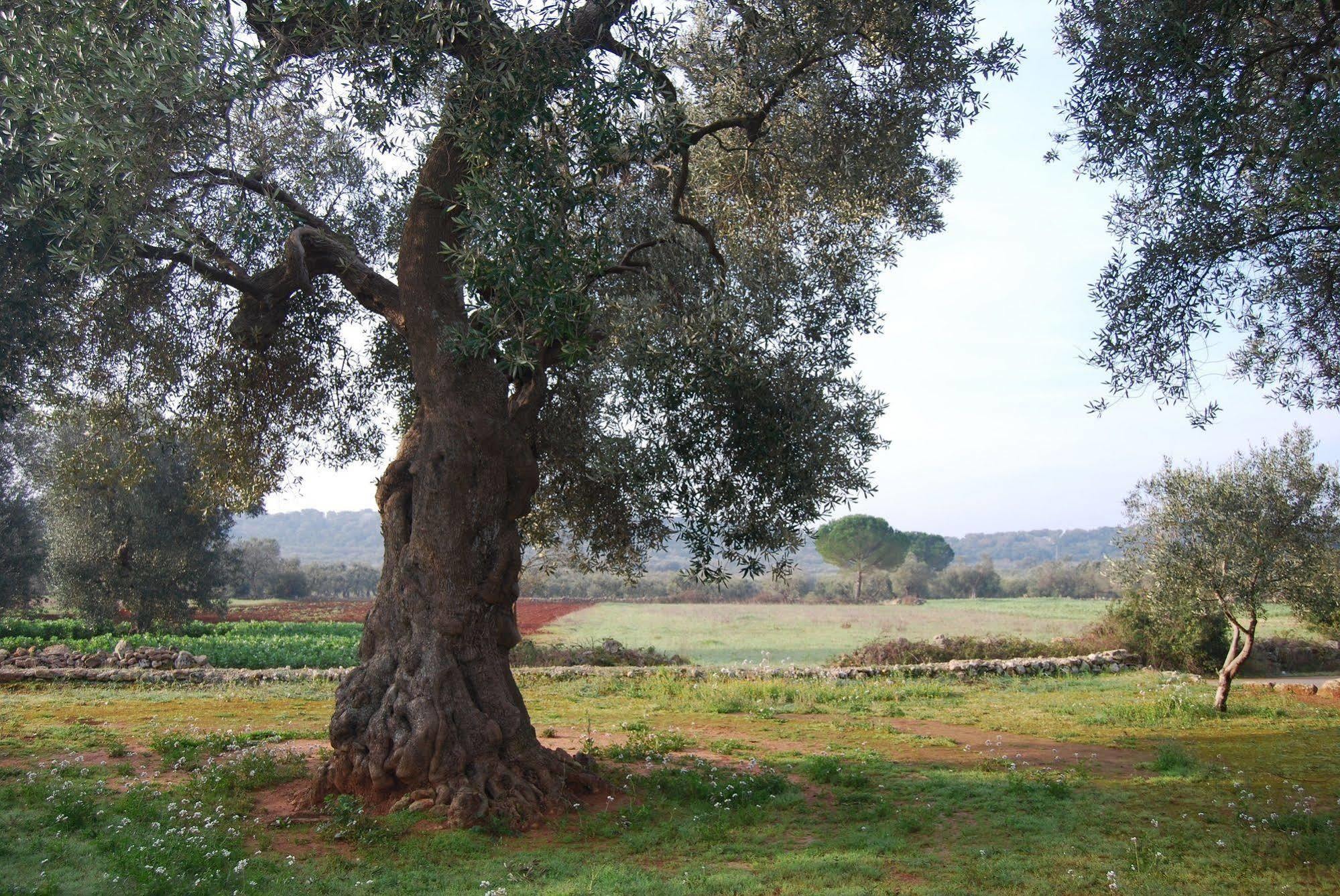 Vila Terra Di Leuca Salve Exteriér fotografie